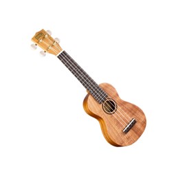 Mostrar produtos na categoria Soprano Imagem por categoria Soprano